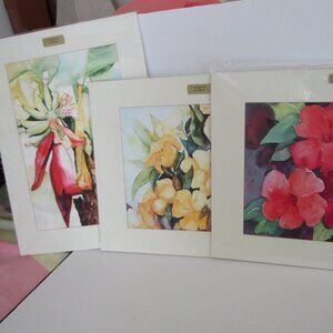 Lot of 3 Doris Schroeder TROPICAL Watercolor signed, matted prints , ExCond